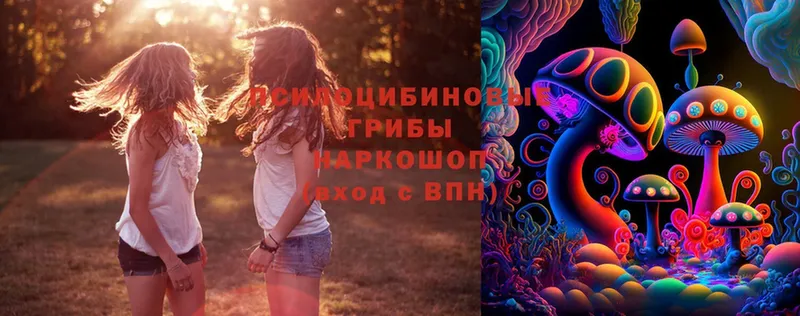 KRAKEN ссылки  Тара  Галлюциногенные грибы Psilocybine cubensis 